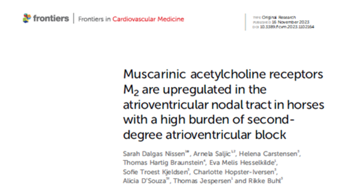 cardiology